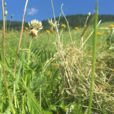 Feature Image 3
